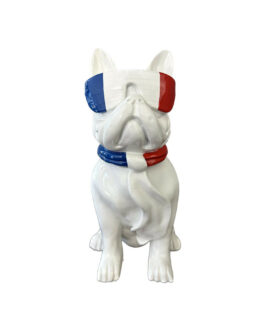 Pies w okularach – flaga Francji